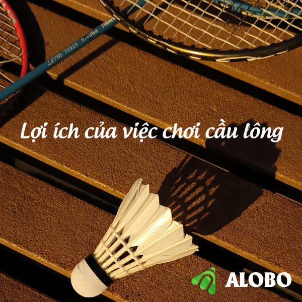 [LỢI ÍCH SỨC KHỎE CỦA VIỆC CHƠI CẦU LÔNG]